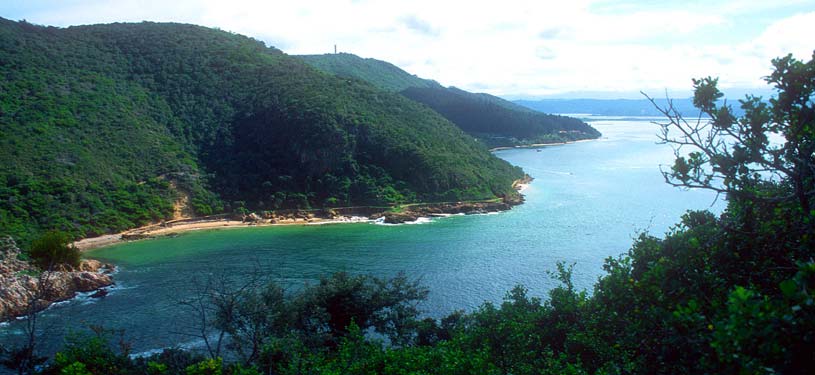 The Featherbed Nature Reserve on the Knysna Lagoon