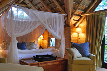 An upper tree camp suite